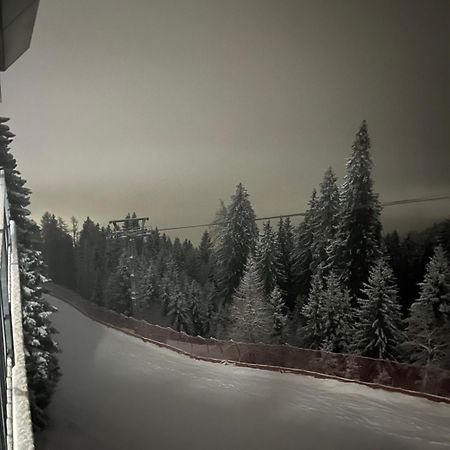 Apartament Trilocale Sulle Piste Con Vista Sulla Valdisole Marilleva Zewnętrze zdjęcie