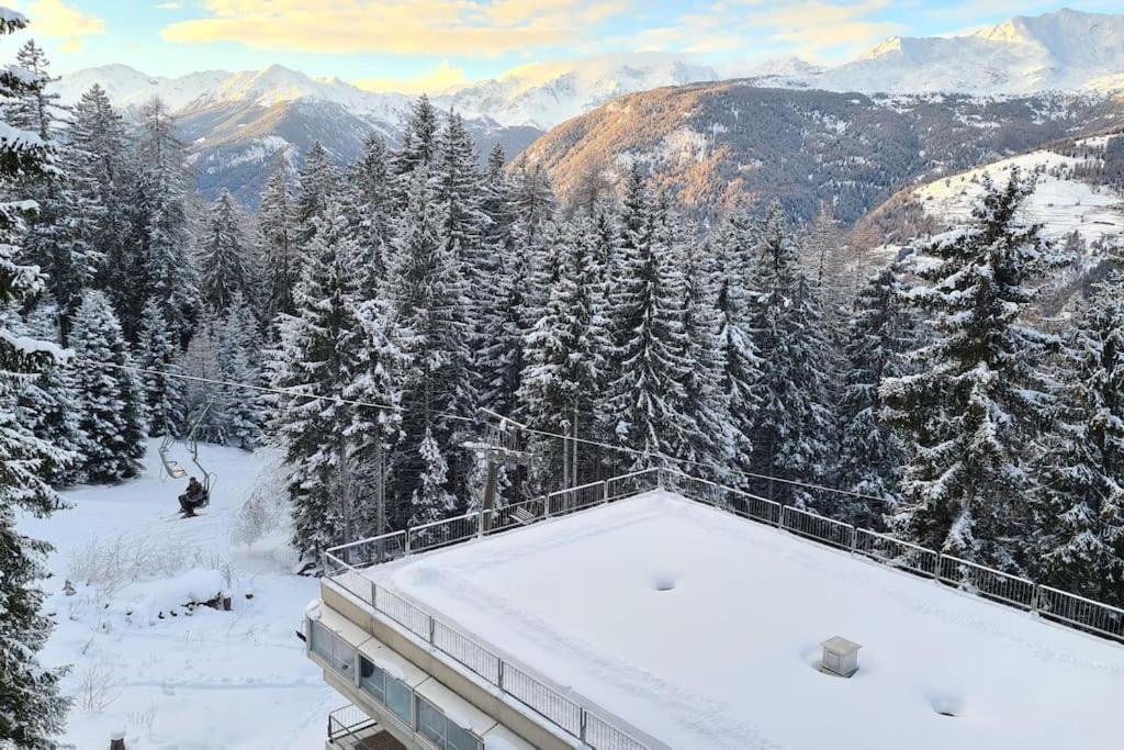 Apartament Trilocale Sulle Piste Con Vista Sulla Valdisole Marilleva Zewnętrze zdjęcie