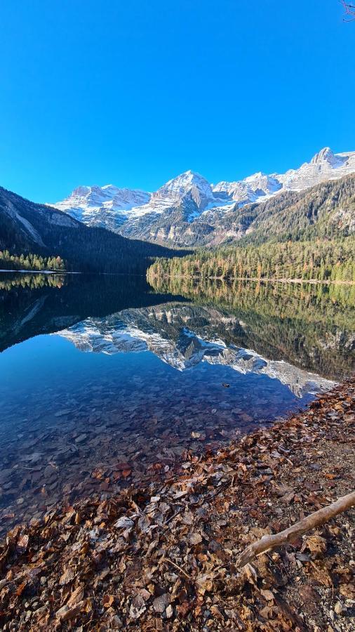 Apartament Trilocale Sulle Piste Con Vista Sulla Valdisole Marilleva Zewnętrze zdjęcie